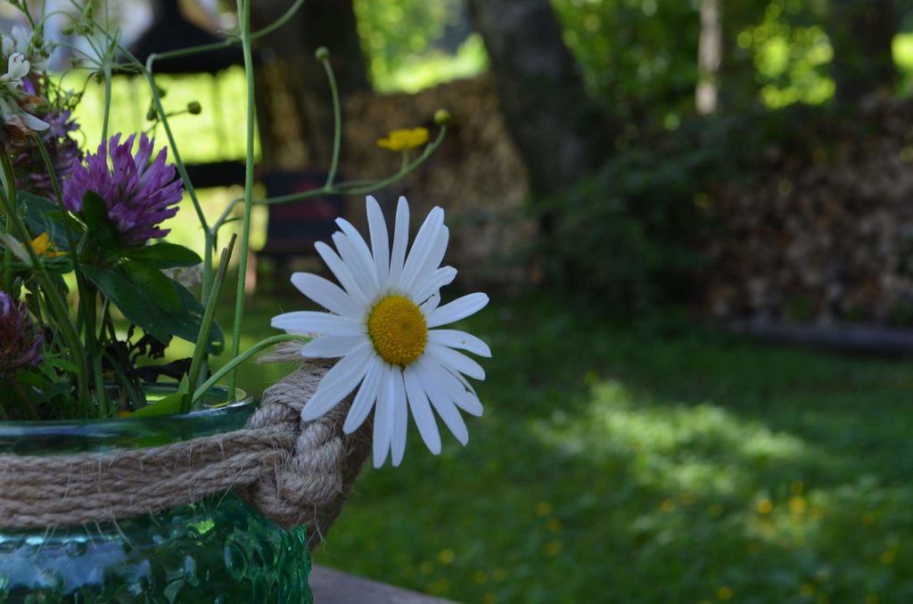 Pensiunea Faast Predeal Bagian luar foto