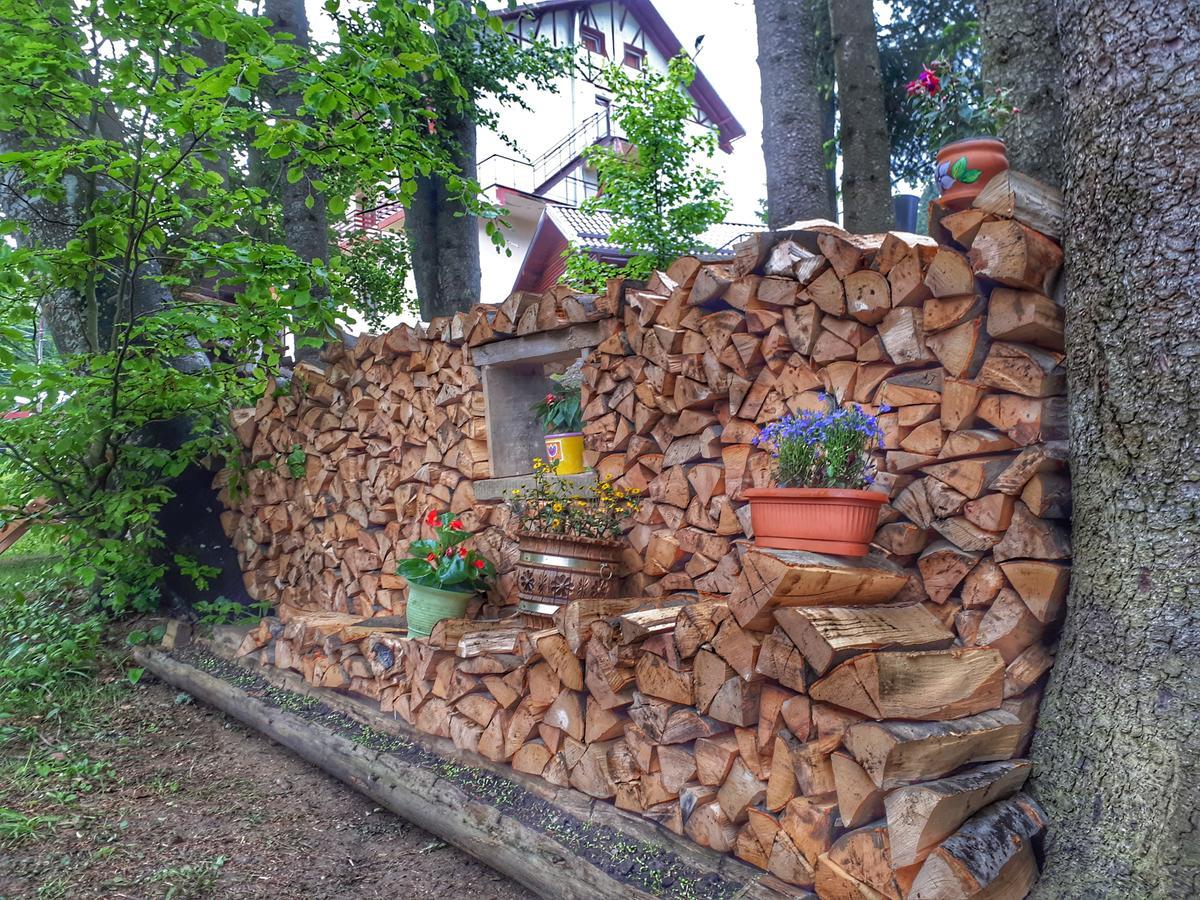 Pensiunea Faast Predeal Bagian luar foto