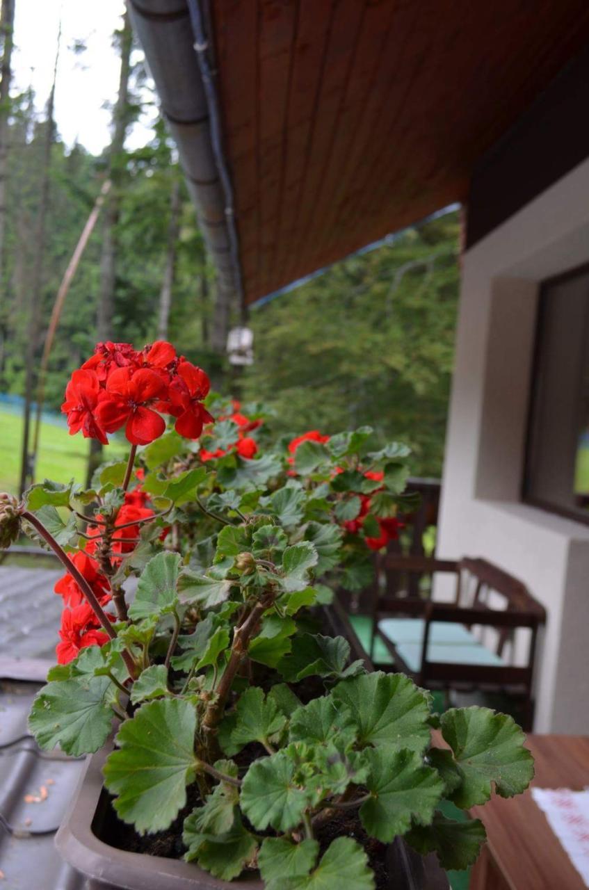 Pensiunea Faast Predeal Bagian luar foto